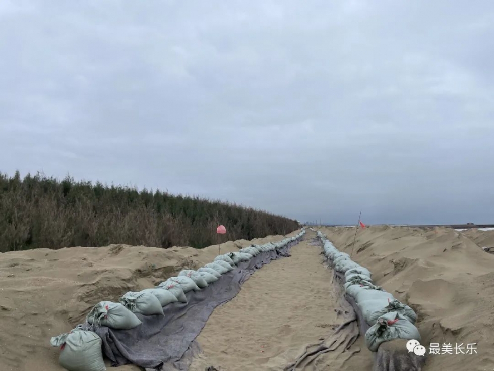 福州滨海新城下沙海滩修复与养护工程二期进展顺利