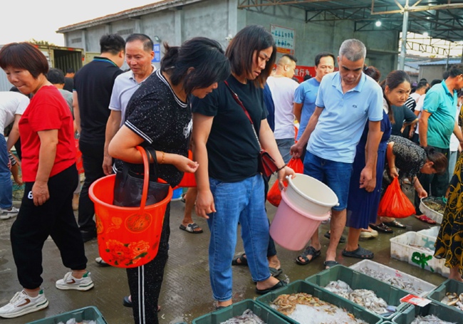 市民在摊位前挑选海产品。